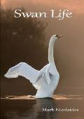 Swan Life