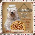 Starlett's Secret Kitchen Natural Recipes for Pets to Share with Their Humans
