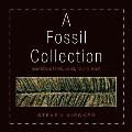A Fossil Collection