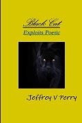 Black Cat, Exploits Poetic