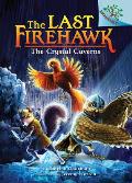 Last Firehawk 02 Crystal Caverns A Branches Book