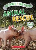 Five Minute True Stories Animal Rescue
