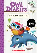 Owl Diaries 14 Eva at the Beach A Branches Book