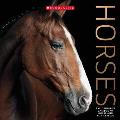 Horses The Definitive Catalog of Horse & Pony Breeds