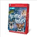 Grade 1 E J Reader Box Set Awesome Animals Scholastic Early Learners