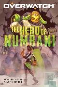 Hero of Numbani Overwatch 1