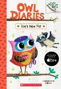 Owl Diaries 15 New Pet A Branches Book