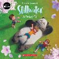 Perfect Fit Stillwater Storybook