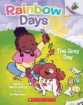 Gray Day An Acorn Book Rainbow Days 1