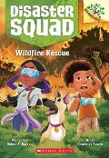 Disaster Squad 01 Wildfire Rescue A Branches Book