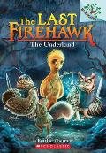Last Firehawk 11 A Branches Book