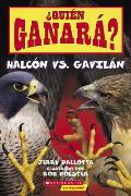Quien ganara Halcon vs Gavilan Who Will Win Falcon vs Hawk