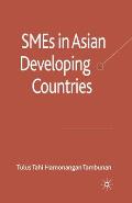 SMEs in Asian Developing Countries