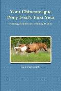 Your Chincoteague Pony Foal's First Year: Feeding, Health Care, Training & More