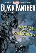 Black Panther the Battle for Wakanda