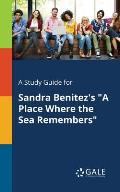 A Study Guide for Sandra Benitez's A Place Where the Sea Remembers