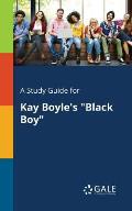 A Study Guide for Kay Boyle's Black Boy