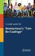 A Study Guide for Anonymous's Tain Bo Cuailnge