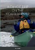 A Canoe Trip on the Kokolik River