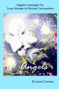Angels Amongst Us - True stories of Divine Encounters