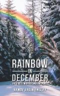A Rainbow In December