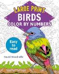 Large Print Color by Numbers Birds: Easy-To-Read