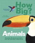 How Big? Animals: Amazing Life-Sized Creatures and Eye-Opening Comparisons