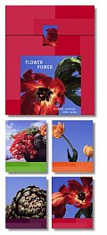 Flower Power Signature Vertical Note Cards With 13 Vertical