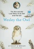 Wesley the Owl The Remarkable Love Story of an Owl & His Girl