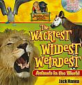 Jungle Jacks Wackiest Wildest & Weirdest Animals in the World
