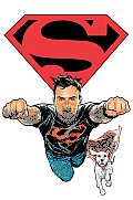Superboy: Smallville Attacks
