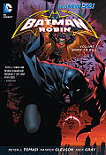Batman & Robin Volume 1 Born to Kill The New 52