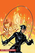Catwoman Volume 5 the New 52