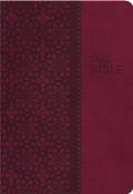 Study Bible-KJV