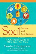 Soul Lessons & Soul Purpose A Channeled Guide to Why You Are Here