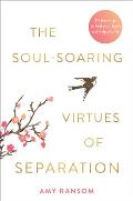 The Soul-Soaring Virtues of Separation: 111 Learnings to Heal Your Heart and Help You Fly