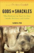 Gods in Shackles What Elephants Can Teach Us About Empathy Resilience & Freedom