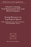 Young Measures on Topological Spaces: With Applications in Control Theory and Probability Theory