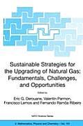 Sustainable Strategies for the Upgrading of Natural Gas: Fundamentals, Challenges, and Opportunities: Proceedings of the NATO Advanced Study Institute