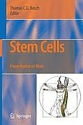 Stem Cells: From Hydra to Man