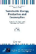 Sustainable Energy Production and Consumption: Benefits, Strategies and Environmental Costing