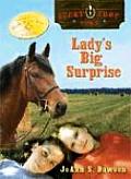 Lucky Foot Stable 01 Ladys Big Surprise