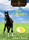 Lucky Foot Stable 02 Star Of Wonder