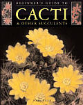 Beginners Guide To Cacti & Other Succulents