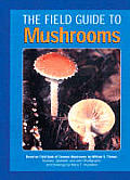 Field Guide To Mushrooms