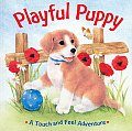 Playful Puppy A Touch & Feel Adventure