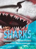 Life Size Sharks & Other Underwater Creatures