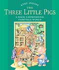 Three Little Pigs A Magic 3 Dimensional Fairy Tale World