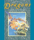 Dragons A Magic 3 Dimensional World of Dragons
