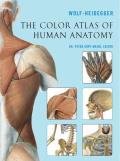 Color Atlas Of Human Anatomy